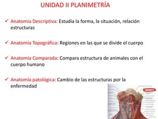 UNIDAD II PLANIMETRÍA

 Anatomia Descriptiva: Estudia la forma, la situación, relación
  estructuras

 Anatomía Topográfica: Regiones en las que se divide el cuerpo

 Anatomía Comparada: Compara estructura de animales con el
  cuerpo humano

 Anatomía patológica: Cambio de las estructuras por la
  enfermedad
 