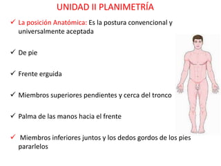 UNIDAD II PLANIMETRÍA
 La posición Anatómica: Es la postura convencional y
  universalmente aceptada

 De pie

 Frente erguida

 Miembros superiores pendientes y cerca del tronco

 Palma de las manos hacia el frente

 Miembros inferiores juntos y los dedos gordos de los pies
  pararlelos
 