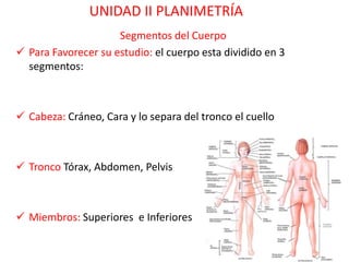 UNIDAD II PLANIMETRÍA
                     Segmentos del Cuerpo
 Para Favorecer su estudio: el cuerpo esta dividido en 3
  segmentos:



 Cabeza: Cráneo, Cara y lo separa del tronco el cuello



 Tronco Tórax, Abdomen, Pelvis



 Miembros: Superiores e Inferiores
 