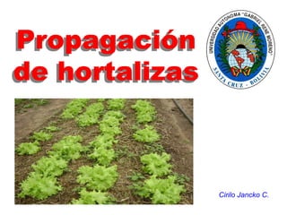 Propagación
de hortalizas
Cirilo Jancko C.
 