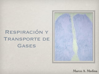 Respiración y
Transporte de
Gases
Marco A. Medina
 