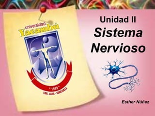 Unidad II
Sistema
Nervioso
Esther Núñez
 