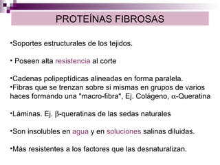 PROTEÍNAS FIBROSAS <ul><li>Soportes estructurales de los tejidos. </li></ul><ul><li>Poseen alta  resistencia  al corte  </...