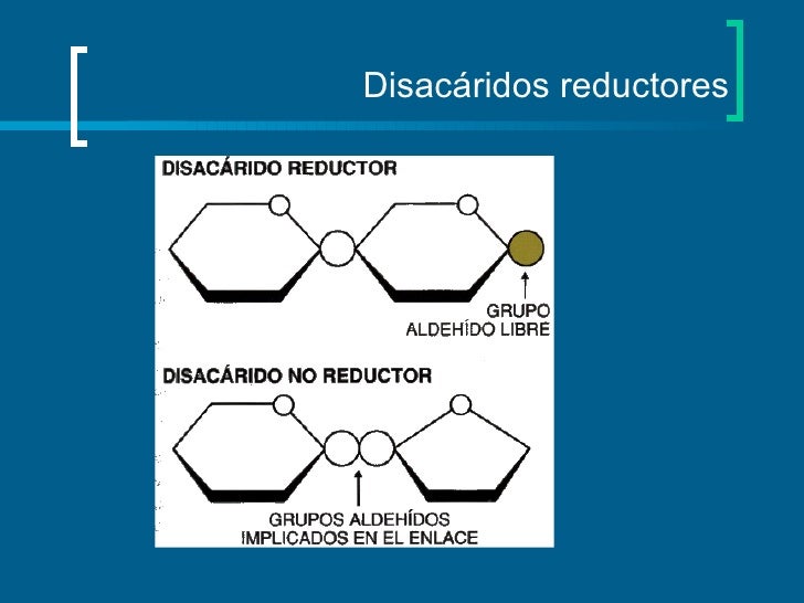 Estructura y función de carbohidratos Estructura y función de carbohidratos