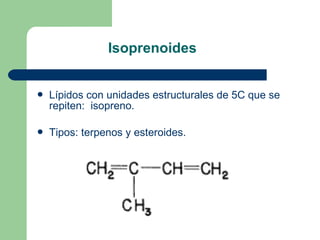 Isoprenoides


   Lípidos con unidades estructurales de 5C que se
    repiten: isopreno.

   Tipos: terpenos y esteroides.
 
