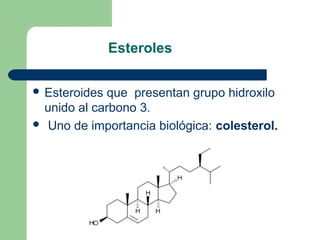 Esteroles

 Esteroidesque presentan grupo hidroxilo
 unido al carbono 3.
 Uno de importancia biológica: colesterol.
 