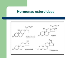 Hormonas esteroideas
 