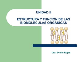 UNIDAD II

ESTRUCTURA Y FUNCIÓN DE LAS
  BIOMOLÉCULAS ORGÁNICAS




                     Dra. Evelin Rojas
 