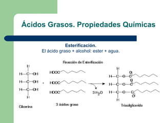Ácidos Grasos. Propiedades Químicas

                 Esterificación.
     El ácido graso + alcohol: ester + agua.
 