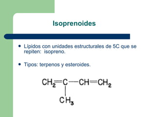 Isoprenoides


   Lípidos con unidades estructurales de 5C que se
    repiten: isopreno.

   Tipos: terpenos y esteroide...