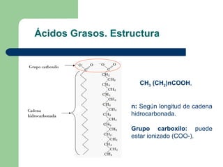Ácidos Grasos. Estructura


Grupo carboxilo


                        CH3 (CH2)nCOOH,


                      n: Según lon...