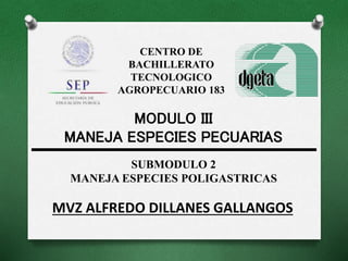 MVZ ALFREDO DILLANES GALLANGOS
CENTRO DE
BACHILLERATO
TECNOLOGICO
AGROPECUARIO 183
SUBMODULO 2
MANEJA ESPECIES POLIGASTRICAS
MODULO III
MANEJA ESPECIES PECUARIAS
 