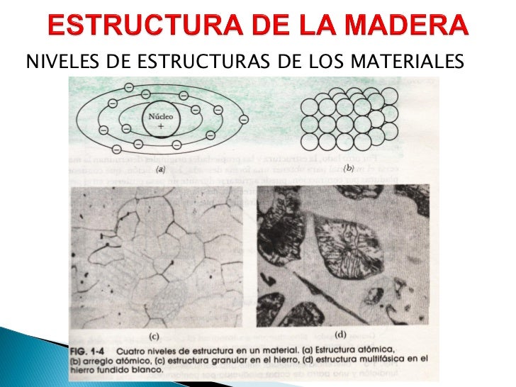 Unidad i maderas est y prop pdf