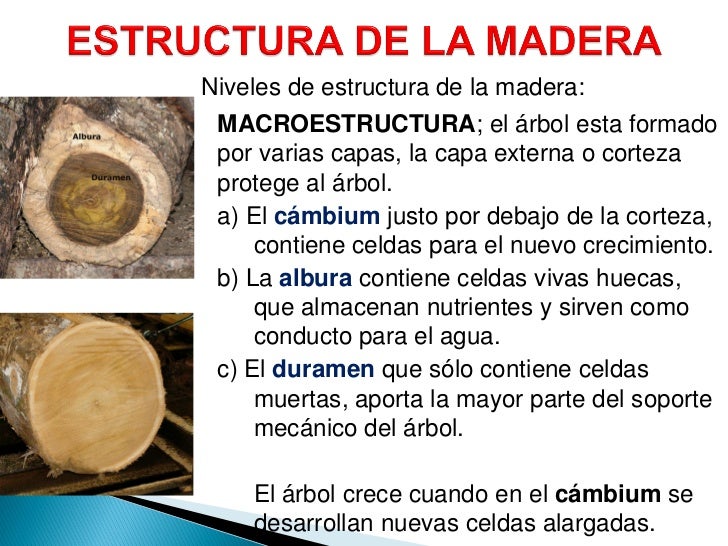 Unidad i maderas est y prop pdf