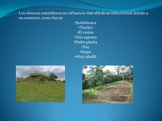 Los olmecas extendieron su influencia mas allá de su zona central debido a
su comercio, como fue en
                                •Juxtlahuaca
                                   •Tlatilco
                                  •El viejón
                               •Tres sapotes
                               •Padre piedra
                                     •Xoc
                                    •Izapa
                               •Abaj takalik
 