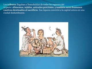 Los tributos llegaban a Tenochtitlan de todas las regiones del
imperio: alimentos, tejidos, artículos preciosos, y también seres humanos
cautivos destinados al sacrificio. Esa riqueza convirtió a la capital azteca en una
ciudad deslumbrante.
 