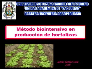 Método biointensivo en
producción de hortalizas
Jancko Condori Cirilo
2010
 