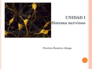 UNIDAD I Sistema nervioso Patricia Ramírez Aliaga 