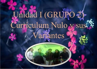 Unidad I (GRUPO 2)
Currículum Nulo y sus
Variantes
 
