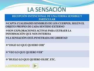 LA SENSACIÓN
RECEPCIÓN INTENCIONAL DE UNA FORMA SENSIBLE Y
PARTICULAR
CAPTA CUALIDADES SENSIBLES DE LOS CUERPOS, SEGÚN EL
OBJETO PROPIO DE CADA SENTIDO EXTERNO
SON EXPLORACIONES ACTIVAS PARA EXTRAER LA
INFORMACIÓN QUE NOS INTERESA
LA SENSACIÓN ESTÁ PENETRADA DE LIBERTAD
“OIGO LO QUE QUIERO OIR”
“VEO LO QUE QUIERO VER”
“HUELO LO QUE QUIERO OLER”, ETC.
2. CONOCIMIENTO
 
