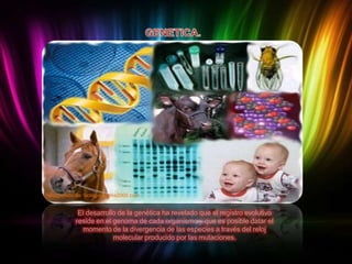 Recuperado de: biologia.laguia2000.com

El desarrollo de la genética ha revelado que el registro evolutivo
reside en el genoma de cada organismo y que es posible datar el
momento de la divergencia de las especies a través del reloj
molecular producido por las mutaciones.

 