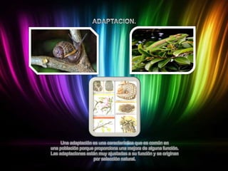 Una adaptación es una característica que es común en
una población porque proporciona una mejora de alguna función.
Las adaptaciones están muy ajustadas a su función y se originan
por selección natural.

 