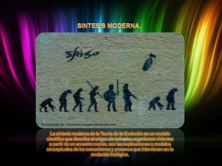 Recuperado de : 1cccmcacunqueiro.wordpress.com

La síntesis moderna de la Teoría de la Evolución es un modelo
científico que describe el origen de todos los organismos vivientes
a partir de un ancestro común, son las explicaciones o modelos
conceptuales de los mecanismos y procesos que intervienen en la
evolución biológica.

 