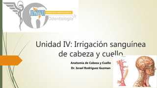 Unidad IV: Irrigación sanguínea
de cabeza y cuello
Anatomía de Cabeza y Cuello
Dr. Israel Rodriguez Guzman
 