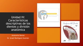 Unidad IV:
Características
descriptivas de los
dientes y división
anatómica
Anatomía Dental
Dr. Israel Rodríguez Guzmán
 