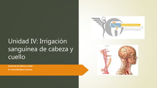 Unidad IV: Irrigación
sanguínea de cabeza y
cuello
Anatomía de Cabeza y Cuello
Dr. Israel Rodriguez Guzman
 