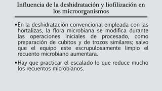 Influencia de la deshidratación y liofilización en
los microorganismos
▪En la deshidratación convencional empleada con las
hortalizas, la flora microbiana se modifica durante
las operaciones iniciales de procesado, como
preparación de cubitos y de trozos similares; salvo
que el equipo este escrupulosamente limpio el
recuento microbiano aumentara.
▪Hay que practicar el escalado lo que reduce mucho
los recuentos microbianos.
 