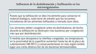 Influencia de la deshidratación y liofilización en los
microorganismos
Puesto que la liofilización se ideo inicialmente para conservar el
material biológico, nada tiene de extraño que los recuentos
microbianos de los alimentos liofilizados a menudo sean altos.
Los alimentos deben congelarse antes de deshidratarse, de hecho,
durante la liofilización se destruyen mas bacterias por congelación
más que por deshidratación.
A medida que desaparece la interfase congelada, las temperaturas
en la proximidad de la superficie aumentan hasta las de la placa de
calentamiento (40-50°C) y consecuentemente en esta región tendrá
lugar una cierta destrucción de las bacterias termosensibles.
 