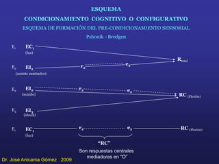 Unidad IV A Ap Cognitivo 2009