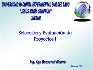 Marzo 2021
Selección y Evaluación de
Proyectos I
 