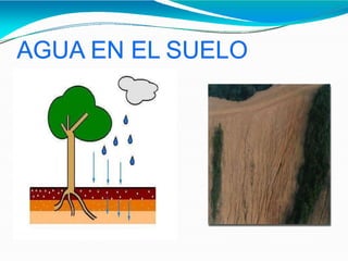 Unidad iv agua y aire en el suelo | PPTX