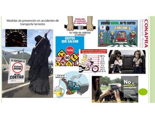 Medidas de prevención en accidentes de
transporte terrestre
 