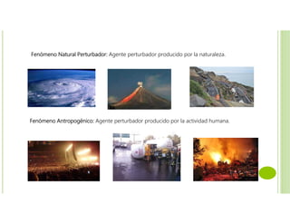 Fenómeno Natural Perturbador: Agente perturbador producido por la naturaleza.
Fenómeno Antropogénico: Agente perturbador producido por la actividad humana.
 