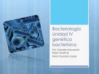 Bacteriología
Unidad IV
genética
bacteriana
Por: Daniela Monserrat
Rojas Ayala &
Nora Guzmán López
 