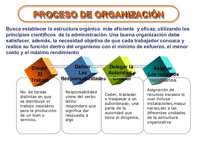 Proceso de Organizacion