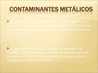  El Hg puede movilizarse también por formación de
CH3Hg+
, compuesto organometálico liposoluble capaz de
atravesar con facilidad las membranas biológicas (piel) e
introducirse en la cadena trófica.
 En medios oxidantes Hg se encuentra precipitado como
Hg(OH)2, en medios poco oxidantes puede reducirse hasta
Hg metálico, el cual es muy volátil y puede difundir por los
poros del suelo .
 