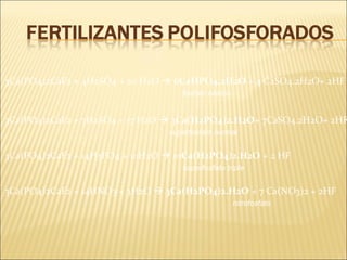 3Ca(PO4)2CaF2 + 4H2SO4 + 20 H2O  6CaHPO4.2H2O + 4 CaSO4.2H2O+ 2HF
fosfato básico
3Ca(PO4)2CaF2 + 7H2SO4 + 17 H2O  3Ca(H2PO4)2.H2O+ 7CaSO4.2H2O+ 2HF
superfosfato normal
3Ca(PO4)2CaF2 + 14H3PO4 + 10H2O  10Ca(H2PO4)2.H2O + 2 HF
superfosfato triple
3Ca(PO4)2CaF2 + 14HNO3 + 3H2O  3Ca(H2PO4)2.H2O + 7 Ca(NO3)2 + 2HF
nitrofosfato
 