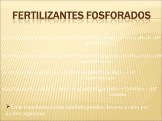 3Ca(PO4)2CaF2 + 4H2SO4 + 20 H2O  6CaHPO4.2H2O + 4 CaSO4.2H2O+ 2HF
fosfato básico
3Ca(PO4)2CaF2 + 7H2SO4 + 17 H2O  3Ca(H2PO4)2.H2O+ 7CaSO4.2H2O+ 2HF
superfosfato normal
3Ca(PO4)2CaF2 + 14H3PO4 + 10H2O  10Ca(H2PO4)2.H2O + 2 HF
superfosfato triple
3Ca(PO4)2CaF2 + 14HNO3 + 3H2O  3Ca(H2PO4)2.H2O + 7 Ca(NO3)2 + 2HF
nitrofosfato
Estas transformaciones también pueden llevarse a cabo por
ácidos orgánicos.
 