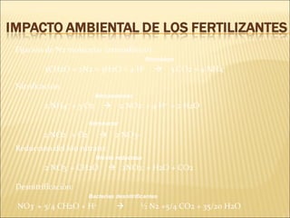 Fijación de N2 molecular (atmosférico):
3CH2O + 2N2 + 3H2O + 4 H+
 3 CO2 + 4 NH4+
Rhizobium
Nitrificación:
2 NH4+
+ 3 O2  2 NO2-
+ 4 H+
+ 2 H2O
2 NO2-
+ O2  2 NO3-
Nitrosomonas
Nitrobacter
Reducción del ión nitrato:
2 NO3-
+ CH2O  2NO2-
+ H2O + CO2
Nitrato reductasa
Desnitrificación:
NO3-
+ 5/4 CH2O + H+
 ½ N2 +5/4 CO2 + 35/20 H2O
Bacterias desnitrificantes
 