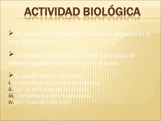  En cuanto a degradación de materia orgánica es la
mas importante.
 Su poder radica en la cantidad y variedad de
microorganismos presentes en el suelo.
Su rendimiento depende:
i.La estructura del compuesto orgánico.
ii.Tipo de MO presente en el suelo.
iii.Concentración del contaminante.
iv.pH y humedad del suelo.
 