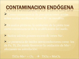 Como consecuencia de precipitaciones acidas
sobre suelos arcillosos, el ion Al+3
se moviliza.
En suelos piriticos, la oxidación de la pirita trae
como consecuencia de la acidificación del suelo.
 Suelos salinos poseen exceso de iones Na+
.
 La presencia de óxidos semiconductores como los
de Fe, Ti, Zn puede favorecer la oxidación de Mn+2
afectando su asimilación:
TiO2-Mn+2
+ O2  TiO2 + MnO2
 