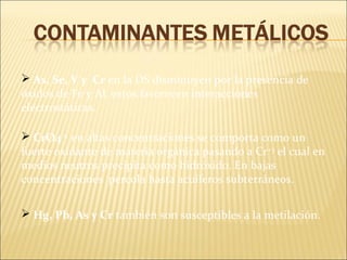  As, Se, V y Cr en la DS disminuyen por la presencia de
óxidos de Fe y Al, estos favorecen interacciones
electrostáticas.
 CrO4-2
en altas concentraciones se comporta como un
fuerte oxidante de materia orgánica pasando a Cr+3
el cual en
medios neutros precipita como hidróxido. En bajas
concentraciones percola hasta acuíferos subterráneos.
 Hg, Pb, As y Cr también son susceptibles a la metilación.
 