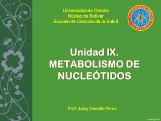 Universidad de Oriente
      Núcleo de Bolívar
Escuela de Ciencias de la Salud




      Prof. Zulay Castillo Pérez
 