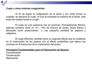 Cuajo u otras enzimas coagulantes
Al fin de lograr la coagulación de la leche y por ende formar la
cuajada, se adiciona el cuajo, el cual al precipitar la caseina de la leche, esta
pasa del estado líquido a un gel.
El cuajo es una sustancia rica en enzimas, Principalmente Renina,
además contiene entre un 10 – 15% de Cloruro de Sodio, Acido Bórico y
Benzoato como preservantes y una pequeña cantidad de pepsina y
catepsina.
El cuajo (Renina), también tiene un segundo efecto que es colaborar
en la maduración de los quesos con el efecto proteolítico que ejerce sus
enzimas en el transcurso de la maduración del queso.
Principios Fundamentales para la Fabricación de Quesos
Concentración
Conservación
Maduración
 