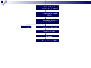 Corte de Cuajada
mediante Lira de 0,8 mm
Agitación de la cuajada
15 min.
Eliminación del suero
de la Tina
Formación de Quesillos
Escurrido de suero
Envasado
Almacenamiento a 5ºC
Suero
 