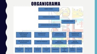 ORGANIGRAMA
 